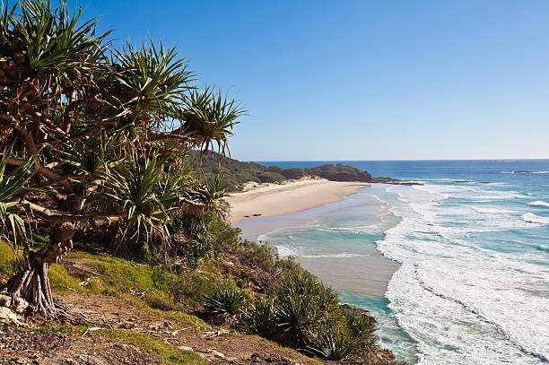 istock Australia, North Stradbroke Island 546786674