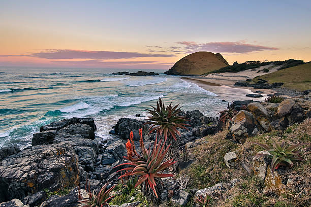 Eastern Cape South Africa
