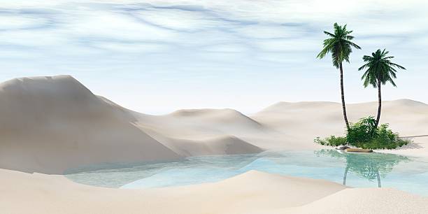 istock Oasis. Palm trees in the desert. 546791020