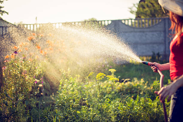 istock Watering  with a hose,  gardening concept 546793558