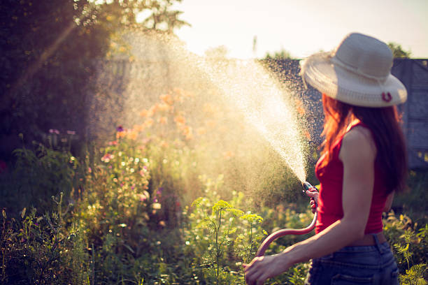 istock Watering  with a hose,  gardening concept 546793670