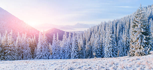 istock Fantastic winter landscape in the mountains. 546794774