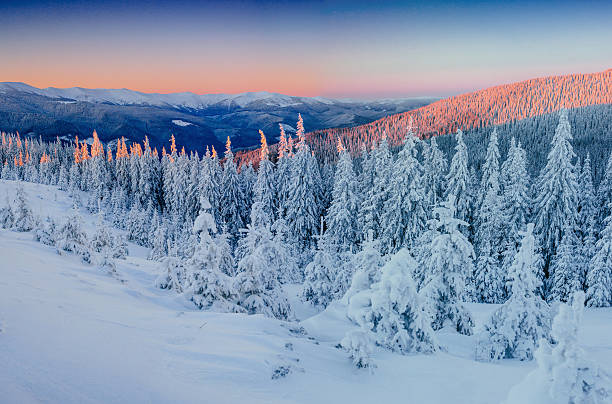 istock Fantastic winter landscape in the mountains. 546795562