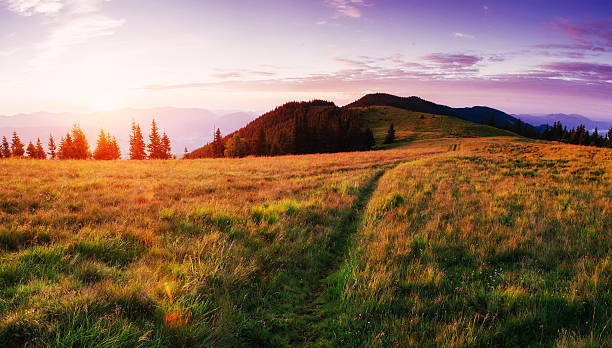 istock Fantastic sunset in the mountains of Ukraine. 546796210