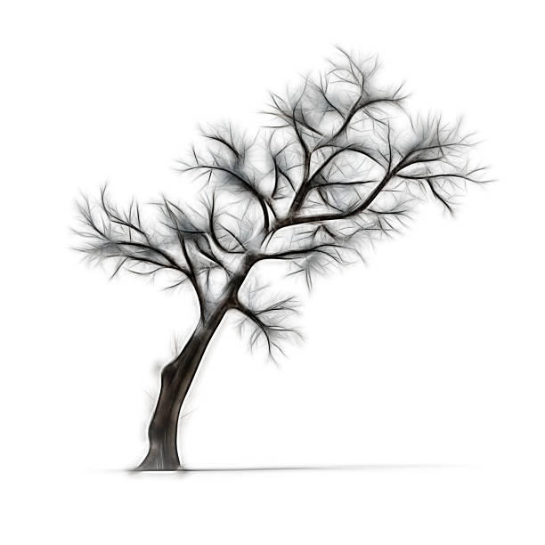 istock Sketch of winter tree without leaves on white background 546800176