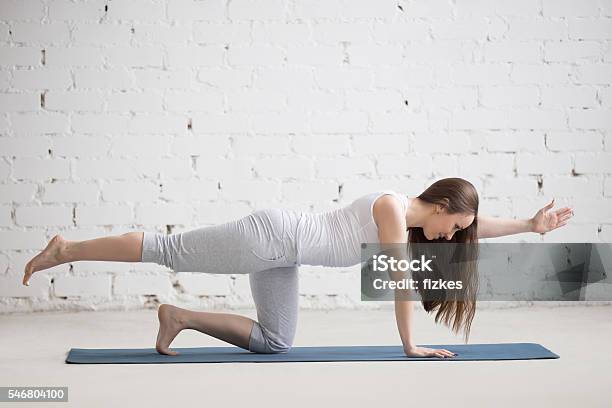 Portrait Of Beautiful Woman Doing Birddog Pose Stock Photo - Download Image Now - Exercising, Relaxation Exercise, Rear View