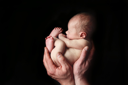 A tiny newborn baby is curled up in his father's hands. Shot with a Canon 5D Mark II. 