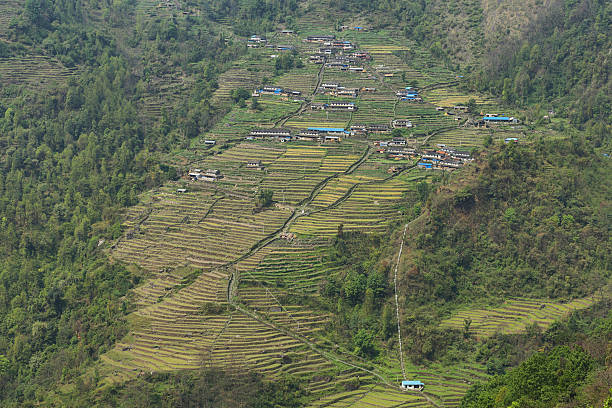 istock Fields and small wooden houses in Nepal 547009888