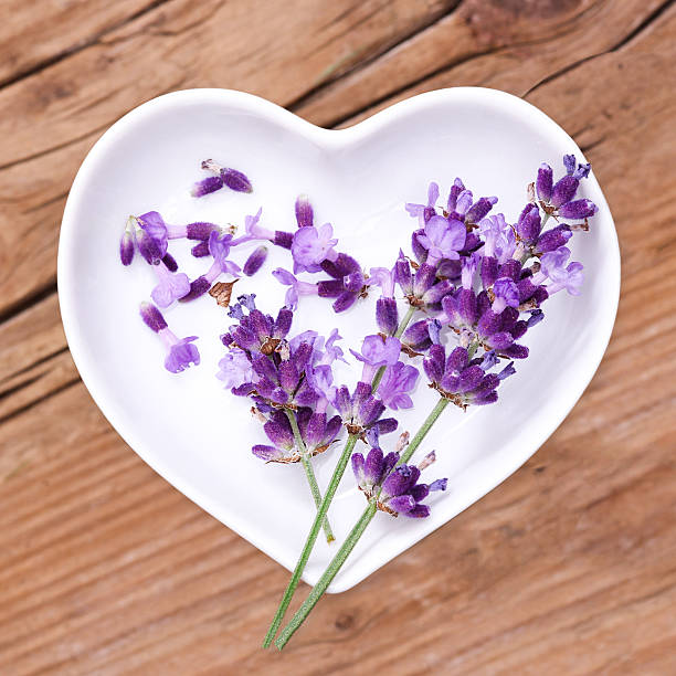 istock Homeopathy and cooking with lavender 547010132