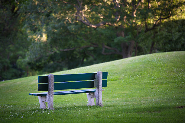 istock Green Bench in Green Park 547010846