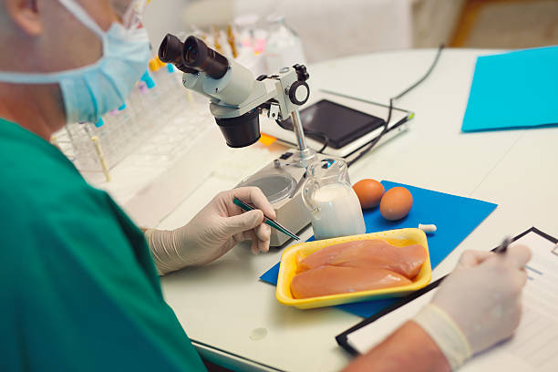 istock Food quality control expert inspecting at meat 547011284