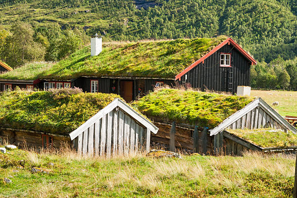 istock Norwegian house with grass roof 547014478
