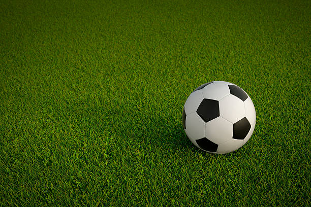 istock Soccer ball on the playing field 547015066