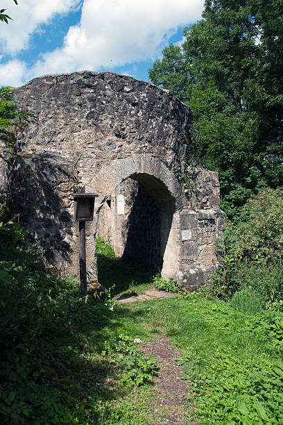 istock Ruins of Weidelsburg 547015484