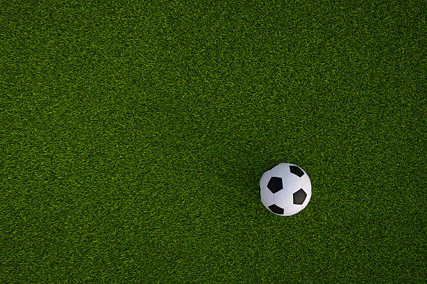 istock Soccer ball on the playing field 547015602