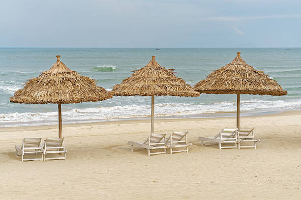 istock Palm shelters and sunbeds on China Beach in Danang 547017440