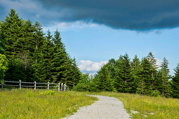 Mountain scenic trail under storm clouds. trails, storm clouds, country road sky field cloudscape stock pictures, royalty-free photos & images