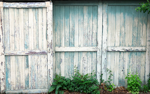 Peeling paint shows the age on wooden, sliding barn doors.