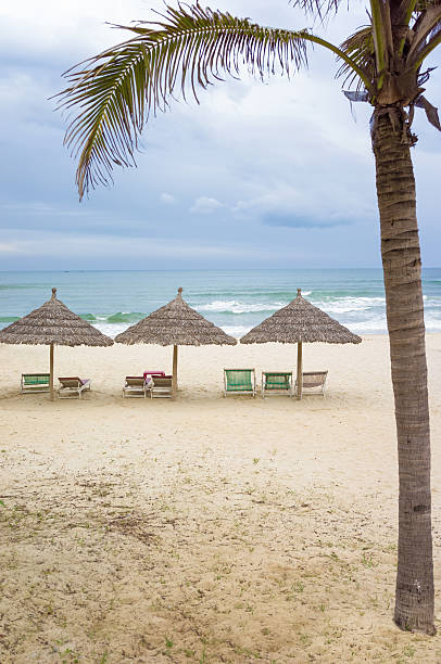 istock Sun beds and Palm shelters at China Beach 547018828
