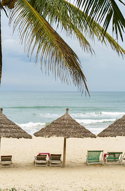 istock Palms shelters and sunbeds in China Beach in Da Nang 547018992