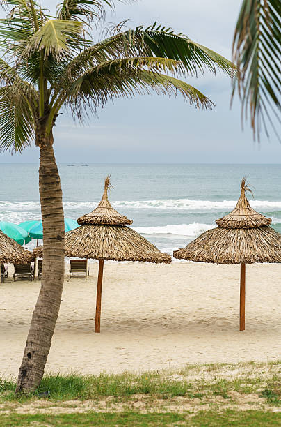 istock Palms shelter and sunbeds in China Beach in Da Nang 547019052