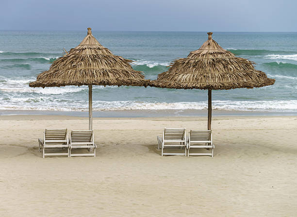 istock Palm shelter and sunbeds at the China Beach 547019082