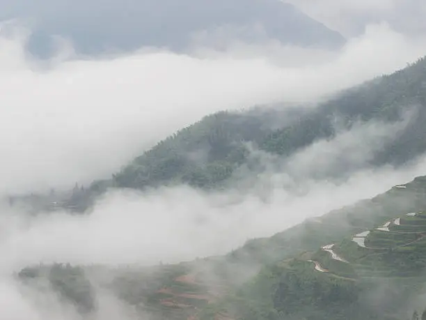 Mountain terraced landscape in sea of clouds
