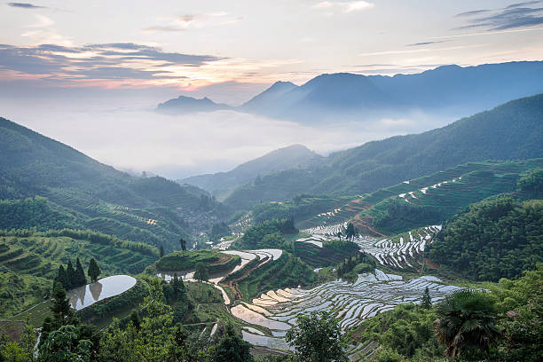 bergterrassenlandschaft im wolkenmeer - zhejiang provinz stock-fotos und bilder