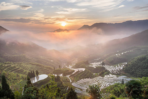 istock Mountain terraced landscape in sea of clouds 547022316