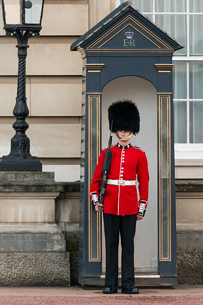 guarda real britânico - honor guard buckingham palace protection london england imagens e fotografias de stock