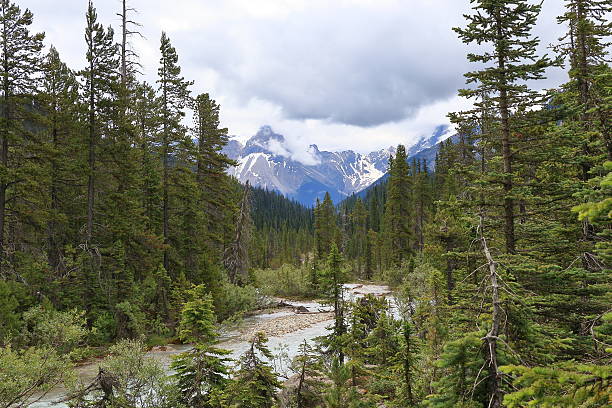 istock Canadian Rocky Mountain Parks 547022798