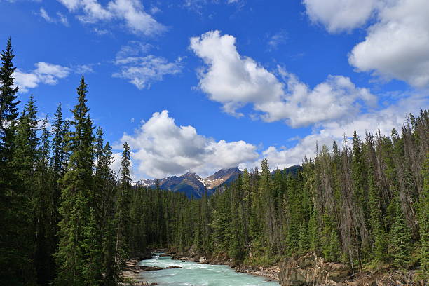 istock Canadian Rocky Mountain Parks 547022934