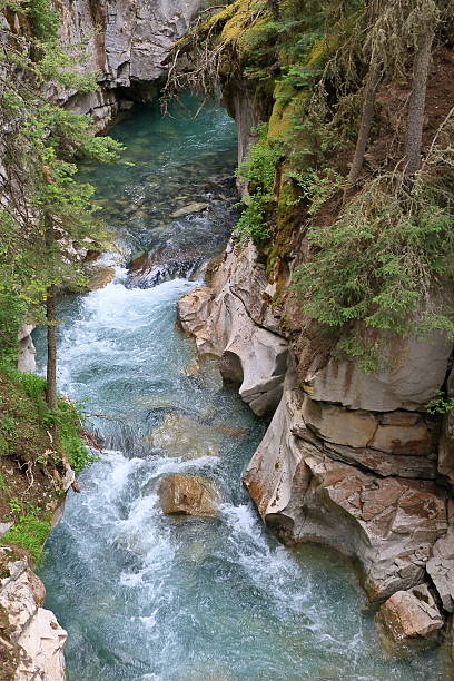 istock Canadian Rocky Mountain Parks 547023096