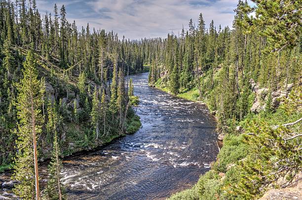 istock Lewis River Yellowstone National Park 547025476