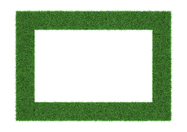 grass frame on white background. - fotografi bild bildbanksfoton och bilder