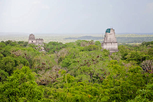 istock View of Tikal 547028742