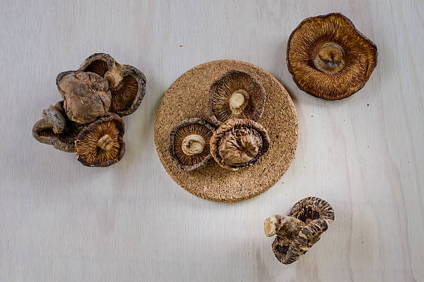 Close up dried mushroom stock photo