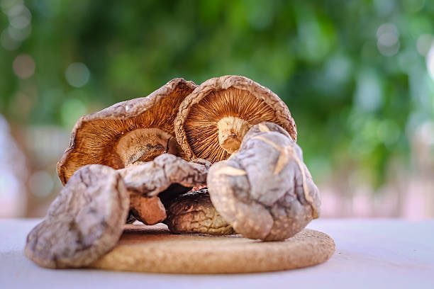 Close up dried mushroom stock photo