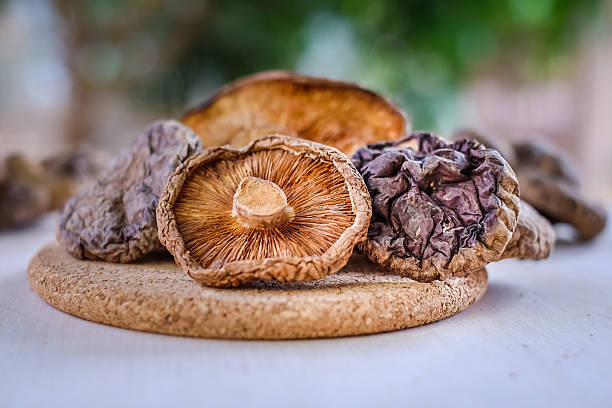 Close up dried mushroom stock photo