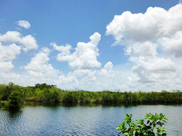 istock Everglades National Park 547030634