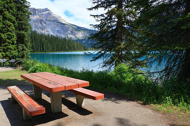 istock Canadian Rocky Mountain Parks : Emerald Lake 547031332