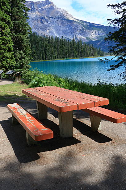istock Canadian Rocky Mountain Parks : Emerald Lake 547031368