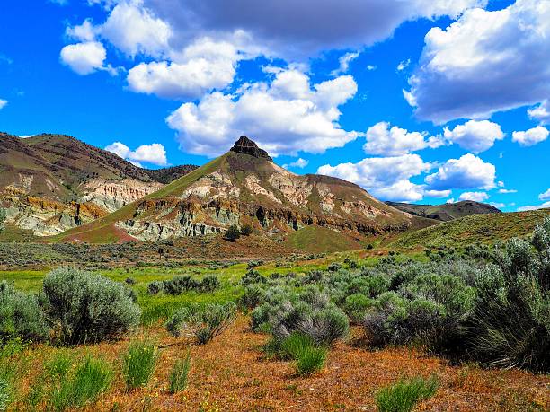 istock Sheep Rock Unit John Day Fossil Beds 547032198