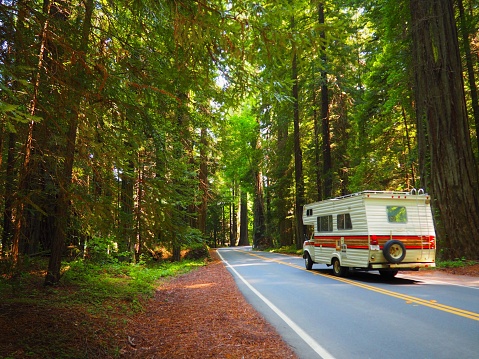 Recreational vehicle on a road trip through the Redwood National Forest, California