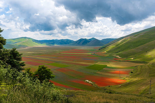 istock Castelluccio di Norcia 2016 (Umbria, Italy) 547035476