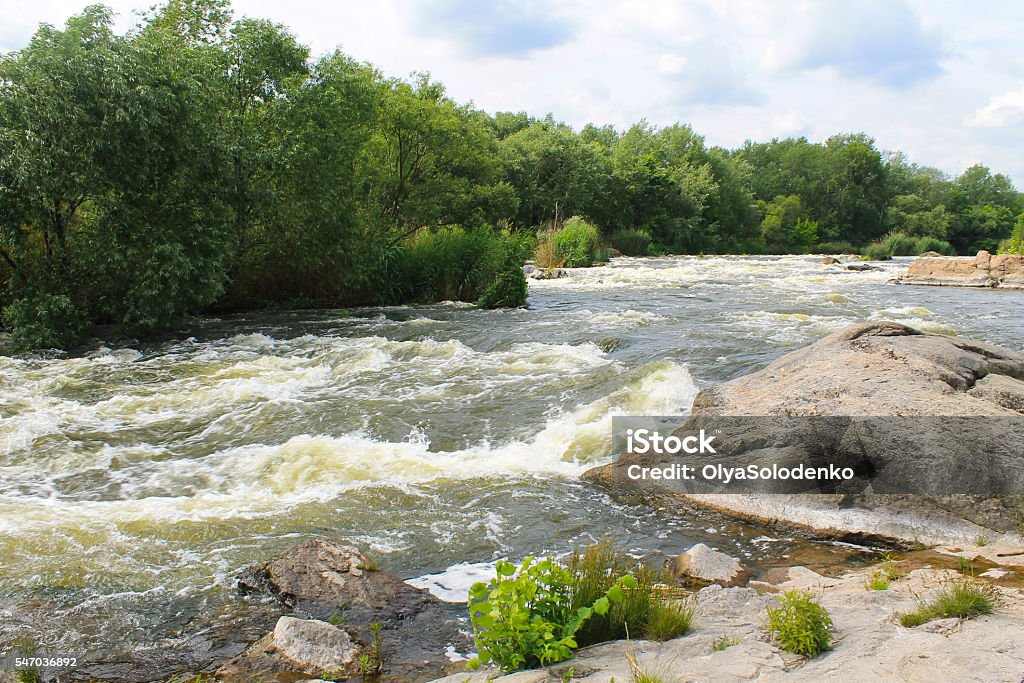 River Southern Bug in Ukraine Abundance Stock Photo