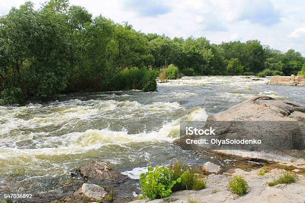 River Southern Bug In Ukraine Stock Photo - Download Image Now - Abundance, Flowing, Forest