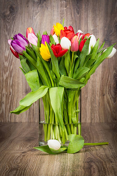 flores sobre fundo de madeira - bouquet tulip greeting card gerbera daisy imagens e fotografias de stock