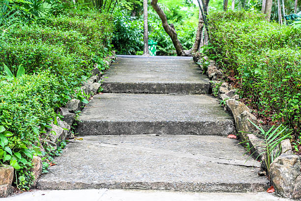 istock stone ladder surround with the green bush 547039706