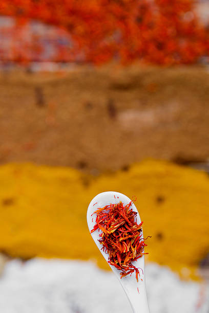 Various spices selection on wooden background. Seasoning
